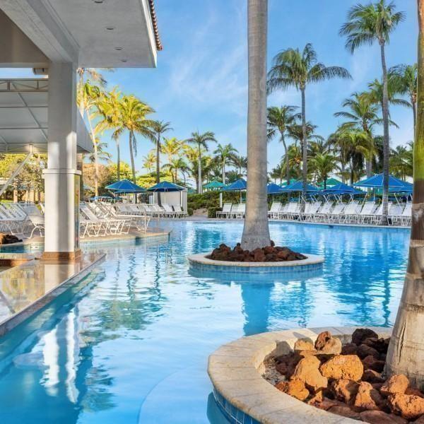 Dining | Marriott's Aruba Surf Club - Jesus Rincon Realtor in Florida